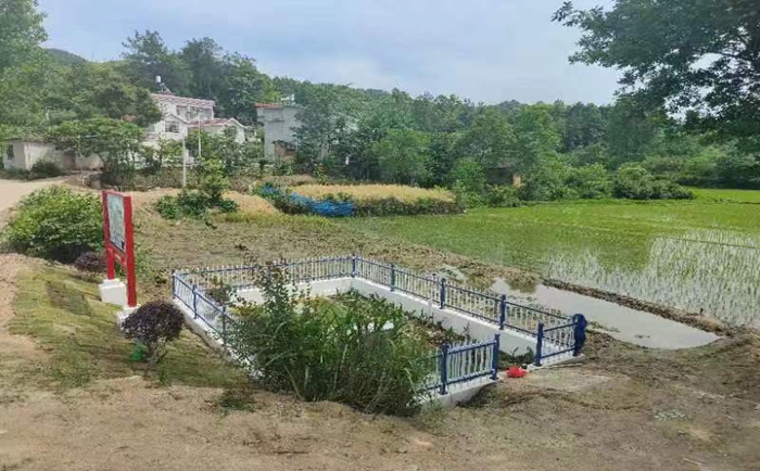 農(nóng)村污水隨意排，隱患你都清楚嗎？